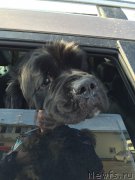 Превью фото № 176915