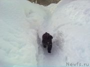 Превью фото № 176916