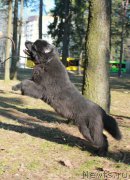 Превью фото № 176957