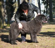 Превью фото № 176959