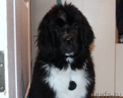 Превью фото № 176963