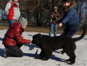 Превью фото № 177100