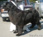 Превью фото № 17713