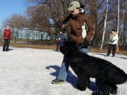 Превью фото № 177181