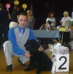 Превью фото № 17721