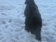 Превью фото № 177287