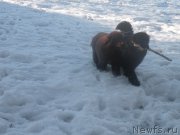 Превью фото № 177288