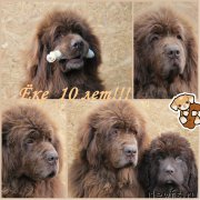 Превью фото № 177310