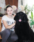 Превью фото № 177323