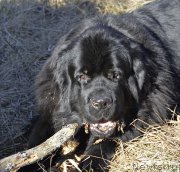 Превью фото № 177381