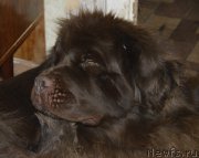 Превью фото № 177391