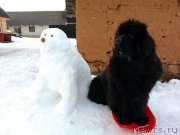 Превью фото № 177393