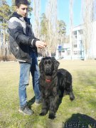 Превью фото № 177436