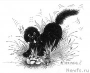 Превью фото № 177450