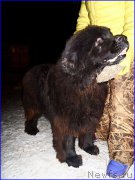 Превью фото № 177518