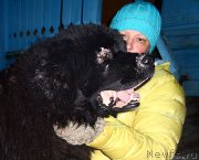 Превью фото № 177519