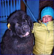 Превью фото № 177524