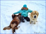 Превью фото № 177537