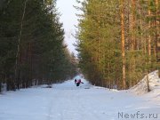 Превью фото № 177545