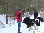 Превью фото № 177623
