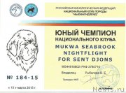 Превью фото № 177670