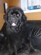 Превью фото № 177676