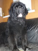 Превью фото № 177678