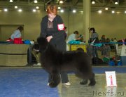 Превью фото № 177682