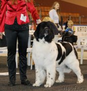 Превью фото № 177709