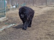 Превью фото № 177713