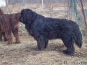 Превью фото № 177714