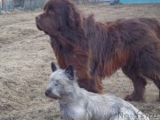 Превью фото № 177717