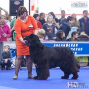 Превью фото № 177729