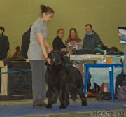 Превью фото № 177733