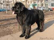 Превью фото № 177757