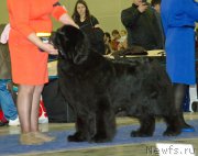 Превью фото № 177758