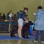 Превью фото № 177821