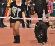 Превью фото № 177838