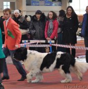 Превью фото № 177844