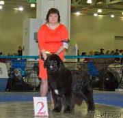 Превью фото № 177848