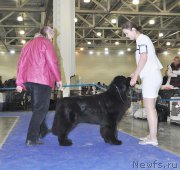 Превью фото № 177860