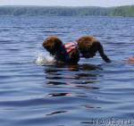 Превью фото № 17787