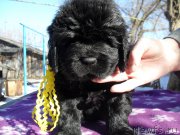 Превью фото № 177878