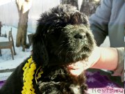 Превью фото № 177880