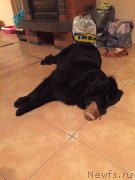 Превью фото № 177884