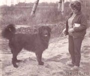 Превью фото № 177905