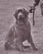 Превью фото № 177907