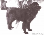 Превью фото № 177911