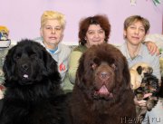 Превью фото № 177912