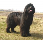 Превью фото № 178029